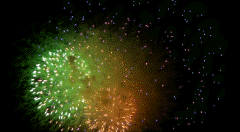 Gif animé feux d'artifices 73